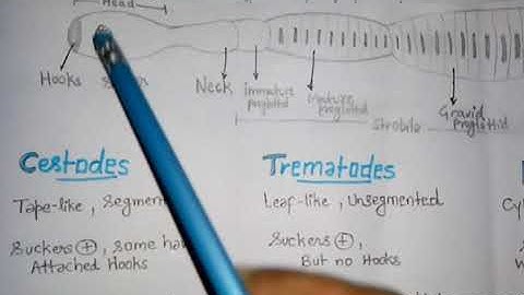Cestodes, trematodes and nematodes। Parasite classification । Definitive and intermediate host