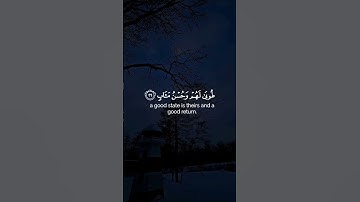 القارئ: عبد الرحمن مسعد، سورة الرعد (آية رقم ٢٩).