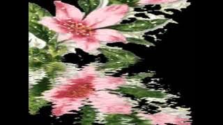 las mananitas,con cepillin