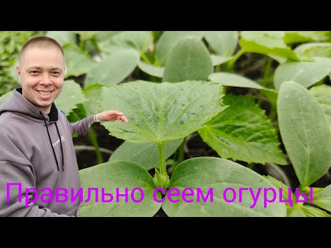 Жалею,что РАНЬШЕ Так