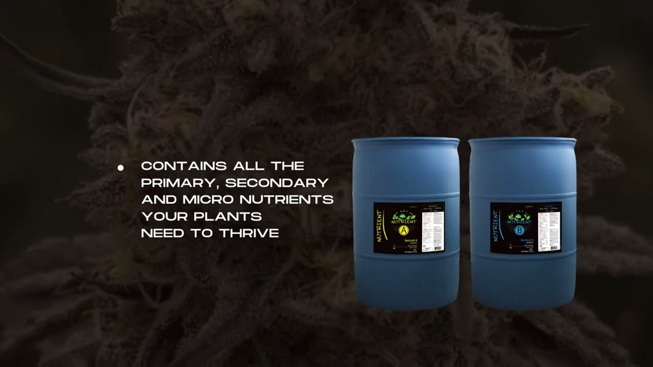 Why Choose Hygrozyme Nutrient A&B? | The Ultimate Plant Nutrition Guide 🌱✨