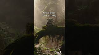 Grogu Scroll Break