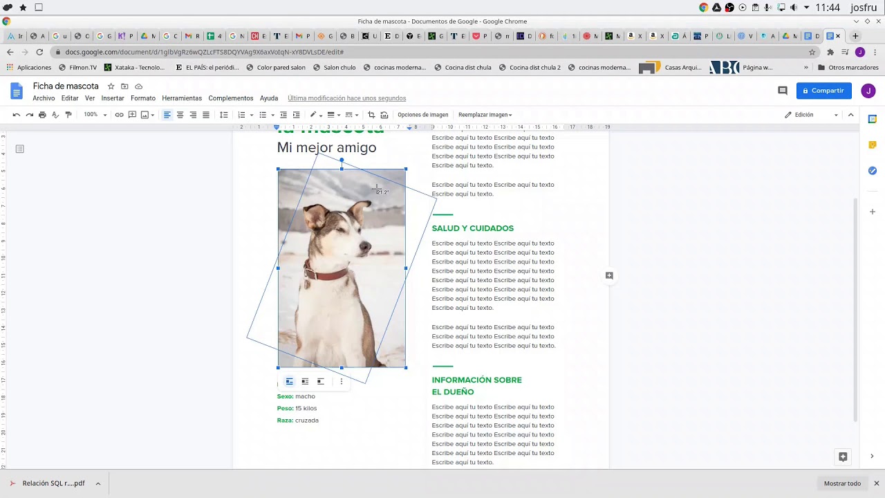 Uso de drive y la suite ofimática en la nube Google docs - YouTube