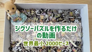 ジグソーパズル作成☆世界最小ピース☆2000ピース