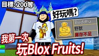 【有感筆電】這是ROBLOX最多人玩的遊戲！觀眾推薦我玩的Blox Fruits 海賊王！(也會一起玩Doors)【直播】