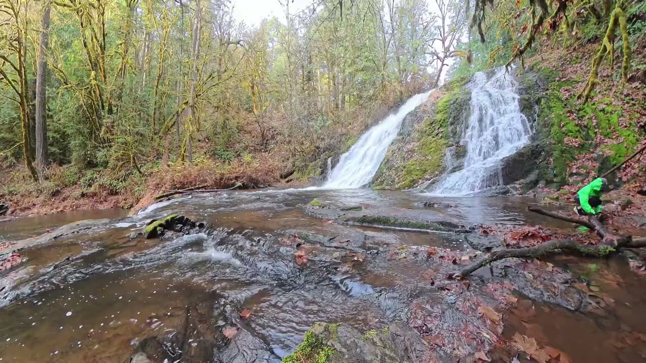 Green Peak Falls | Alsea Falls Recreation Area Oregon | November 2025