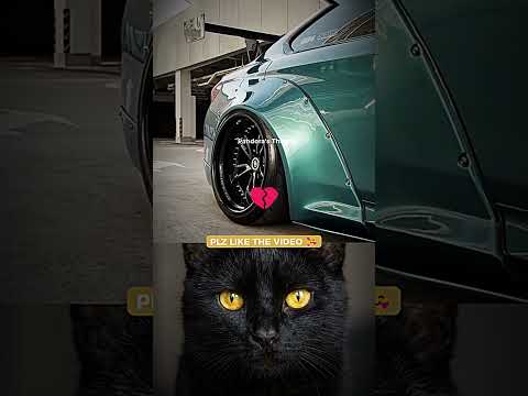 Rate this from 1 to 10 🗿👇 #react #memes #shorts #fyp #racing #BMW #car