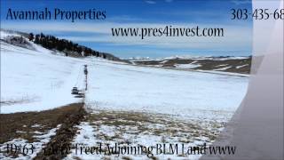(ID#63) 5.1 Acre ($500 Down) Colorado Treed Mountain Lot | Park County, CO | Owner Finance