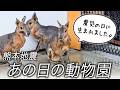 【熊本地震から10年】阿蘇ふれあい動物王国の被災記録。「震災の日」に生まれた命がありました