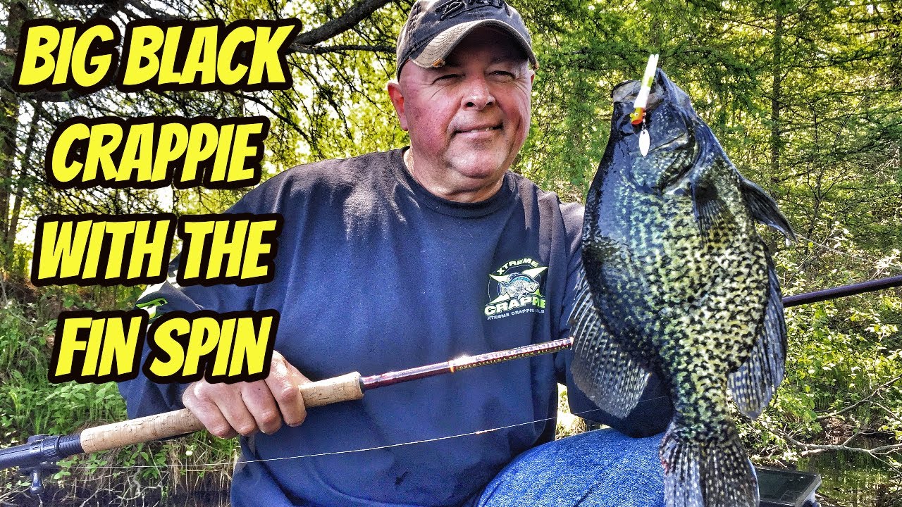 BIG BLACK CRAPPIE WITH THE FIN SPIN- Special  Episode