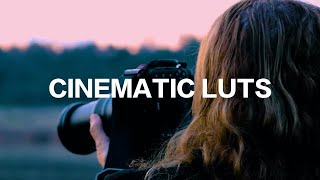 Cinematic LUTs Premiere Pro Presets