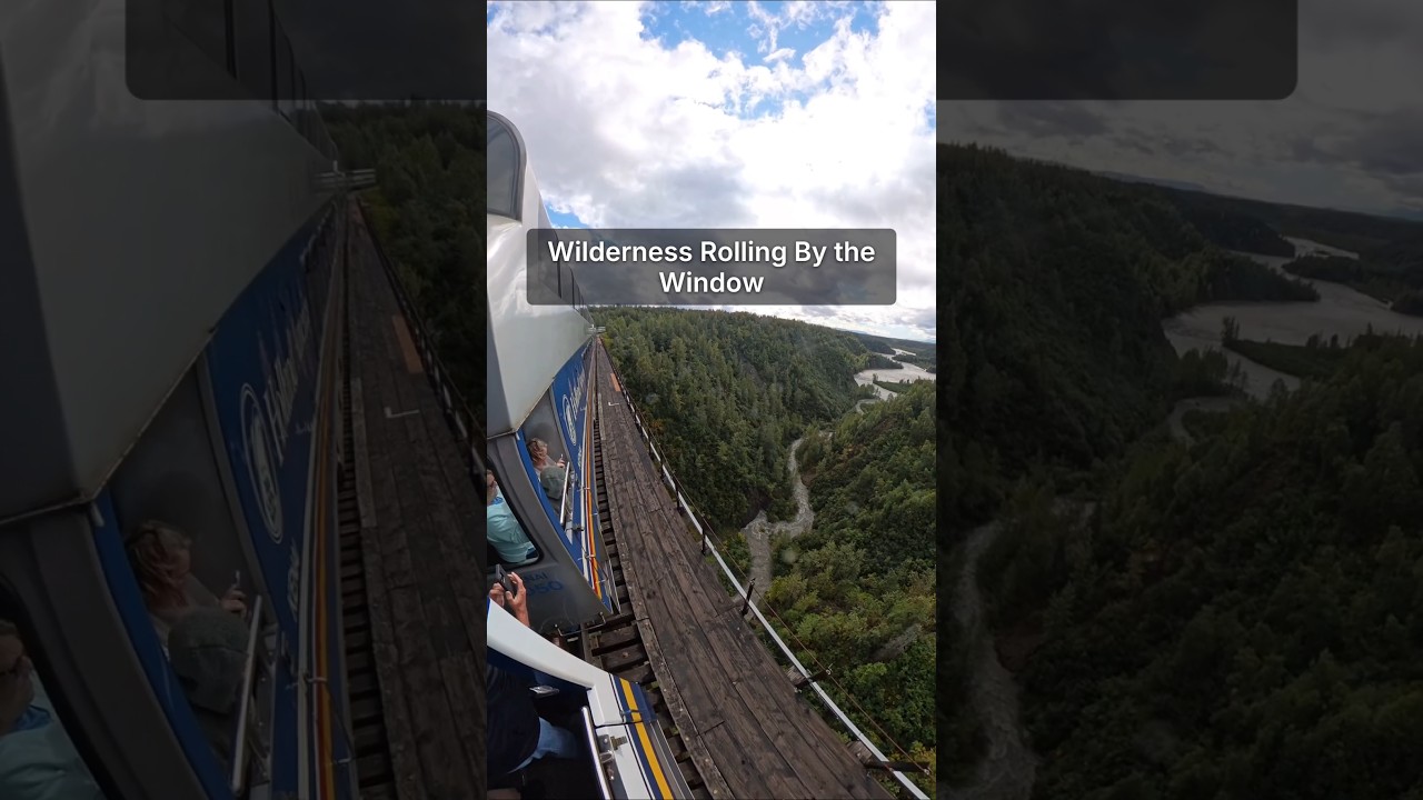 Wilderness Rolling By the Window