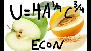 Utility Maximization Calculus Example | Finding Optimal Bundle of Goods