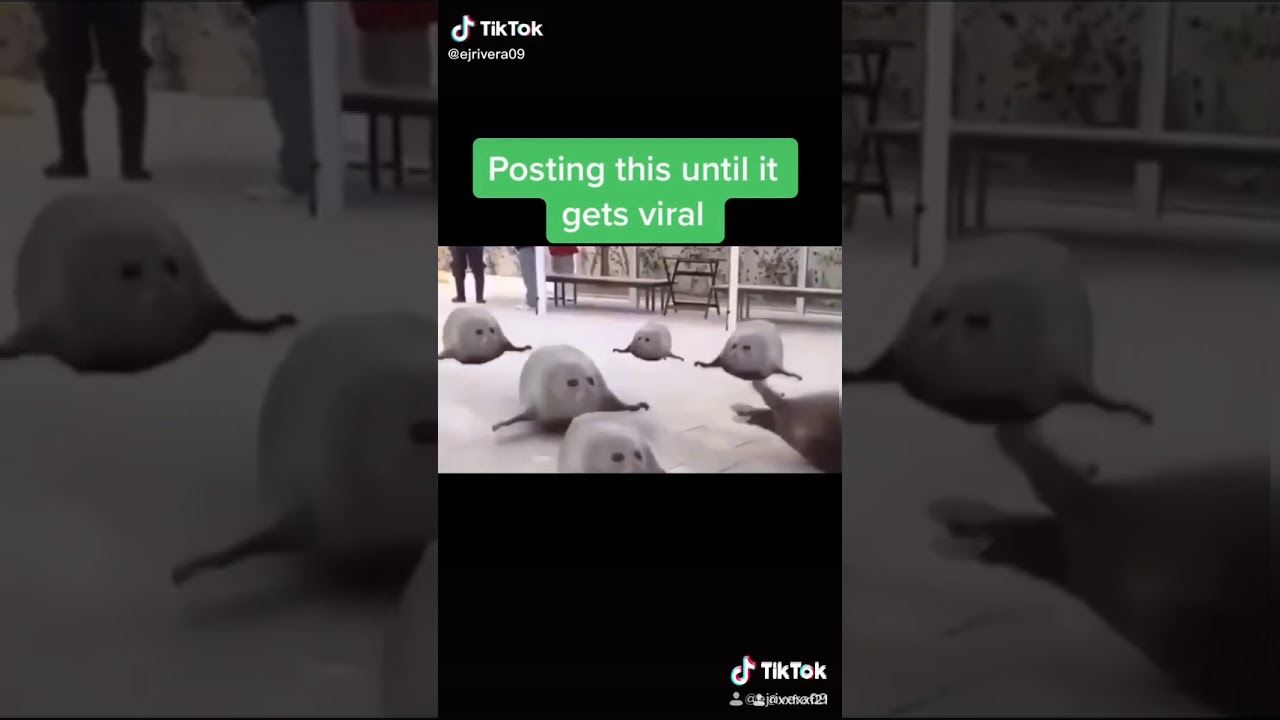 This is a masterpiece YouTube