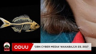 Lafee Qurxummii Mormatti rakkate
