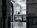 At the final moments of his life, Umar ibn al-Khattab turned to his Lord in deep humility.