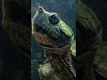 The Leaf That Bites Back: The Mata-Mata Turtle”#Wildlife #NatureDocumentary