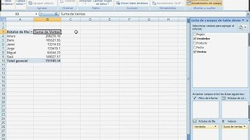 Tablas Dinamicas Excel 2007