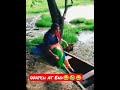 funny videos funny incidents videos laughing videos Awareness videos Viral videos adult kids videos