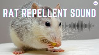 Rat Repellent Sound || Suara pengusir tikus