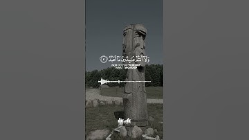 #سورة الكافرون القارئ علاء عقل