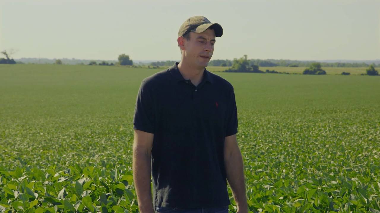 Get to Know Your Grain Farmers (Summer on the Farm) - Matt Hollinger, Little Britain ON