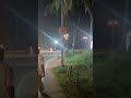Goa's Famous Dolphin Circle 🐬 Must-Visit Spot in 2024!