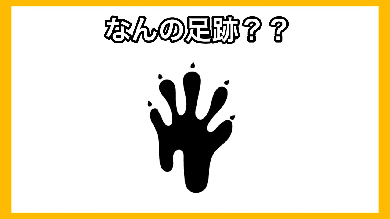 生き物の足跡クイズ３ Youtube