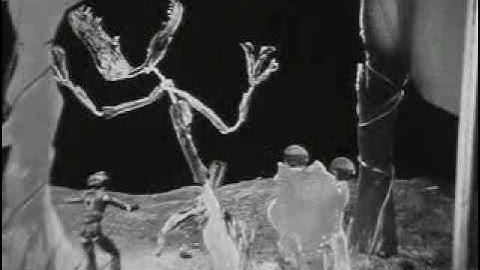 Fortunate Fun Shapes