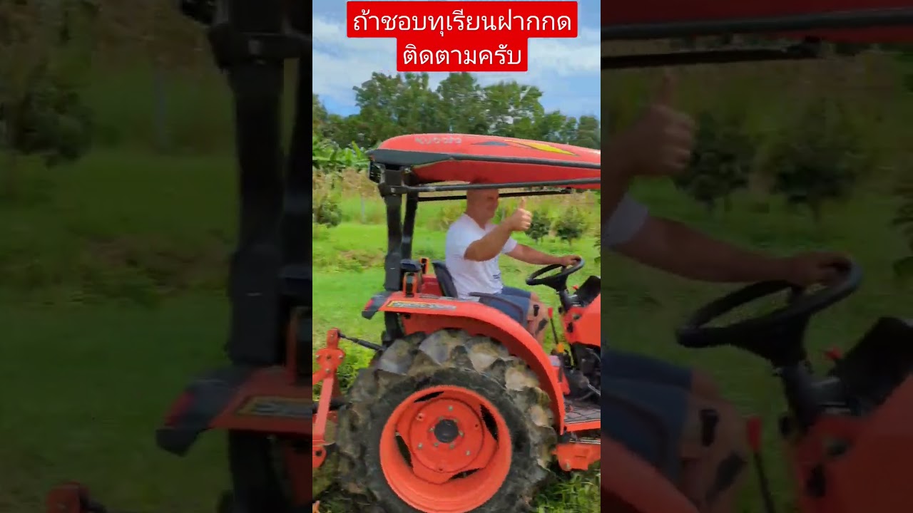 Tractor works on our Durian farm.Cutting grass