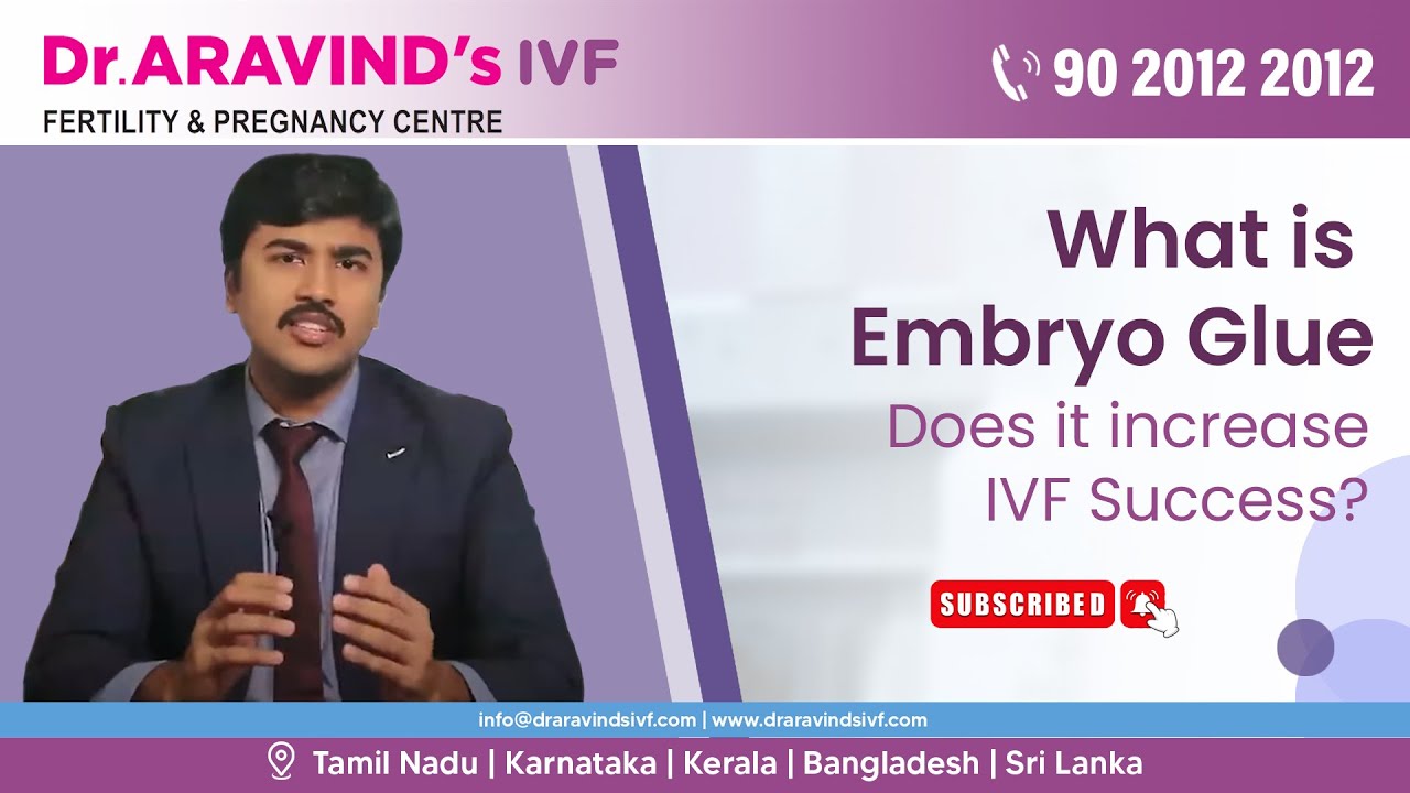 What Is Embryo Glue Ivf What Is Embryo Glue Ivf