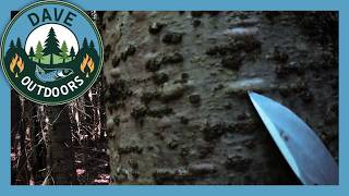 Natural Fire Starters Fir Tree Resin