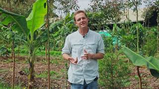 Syntropic Trailblazers: ForestFoods Africa