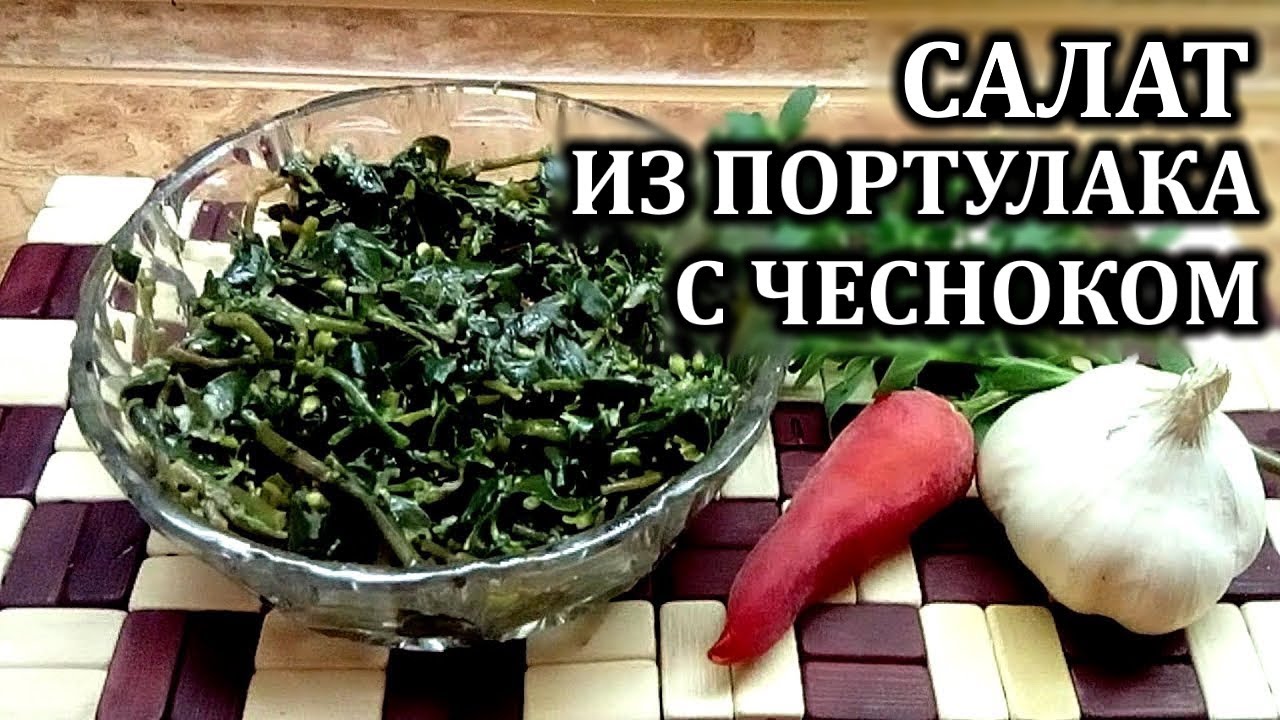 Салат из портулака с чесноком  Простые рецепты закусок