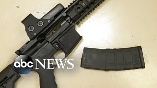 Hundreds of survivors of mass shootings gather in DC to call for assault weapon ban
