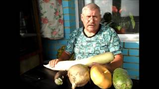 Дайкон ДРАКОН Дайкон ДРАКОН
