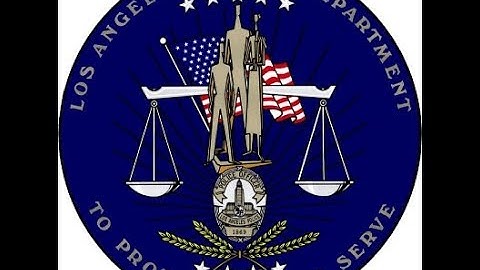 Broke Protocol LAPD Bruh moment