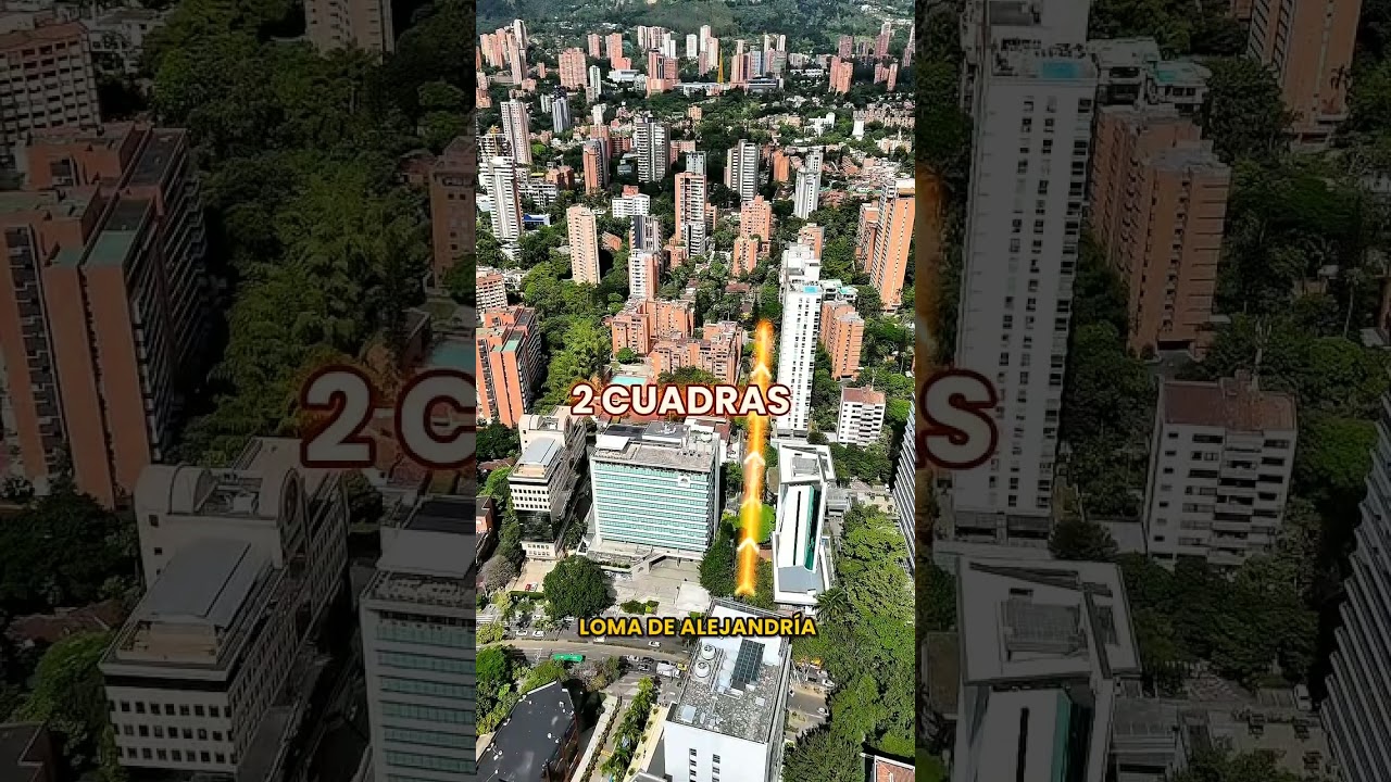 Proyecto Alejandría — recorrido