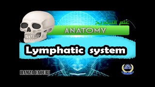 علم التشريح (ANATOMY Chapter 11 Lymphatic system  )