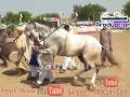 Best Beautiful Horse Dance Competition Mela Kanjwani Tournament at Kanjwani Mela-Faisalabad Mp3 Song