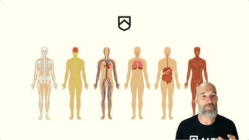 Stuart McMillan - Systems Thinking in Sports Coaching & Performance Therapy
