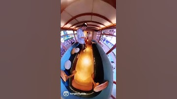 New Generation of Hong Kong Tram 🚃!