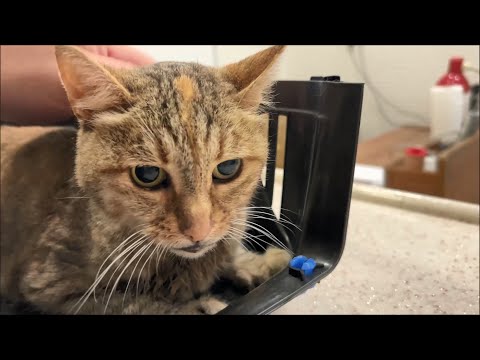 Our Zoom has passed away