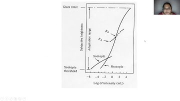 Elements of Visual Perception