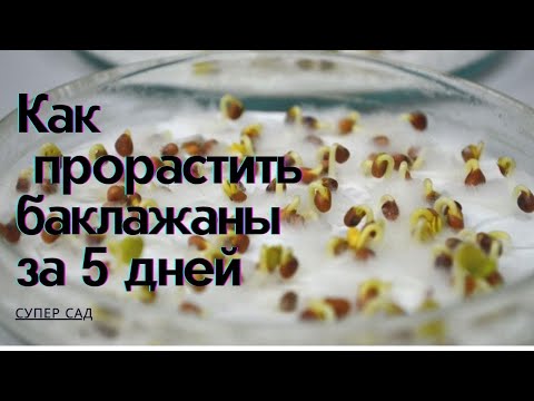Как посеять семена