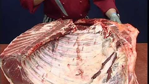 Beef Forequarter Carcase Breakdown