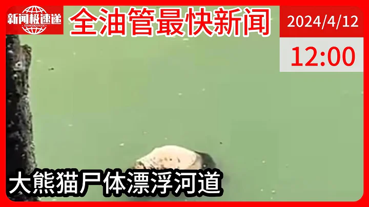 中國新聞04月12日12時：摩友稱旅行時在河道發現幼年大熊貓屍體，當地：高度重視，正進行核查 - 天天要聞