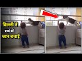 Cat Saved Baby's Life #wildanimals #shorts