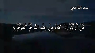 تلاوة من سورة فصلت القاري سعد الغامدي