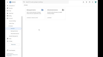How to change the primary domain for your Google Workspace